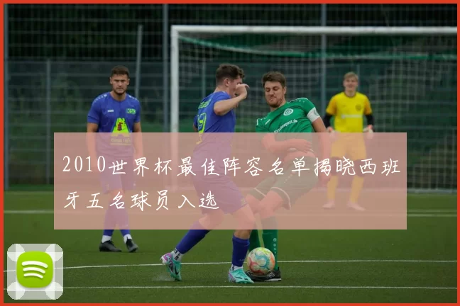 2010世界杯最佳阵容名单揭晓西班牙五名球员入选
