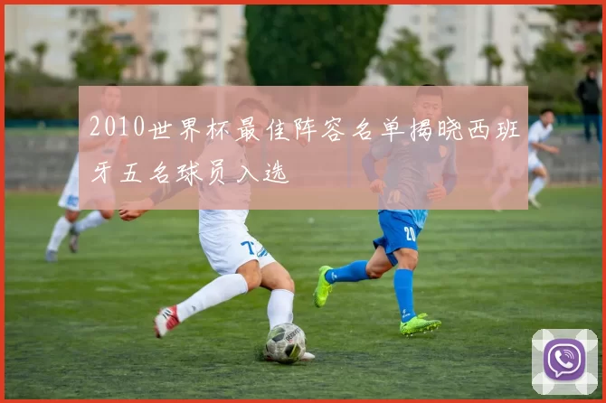 2010世界杯最佳阵容名单揭晓西班牙五名球员入选