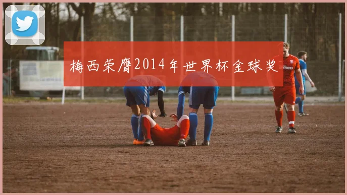 梅西荣膺2014年世界杯金球奖